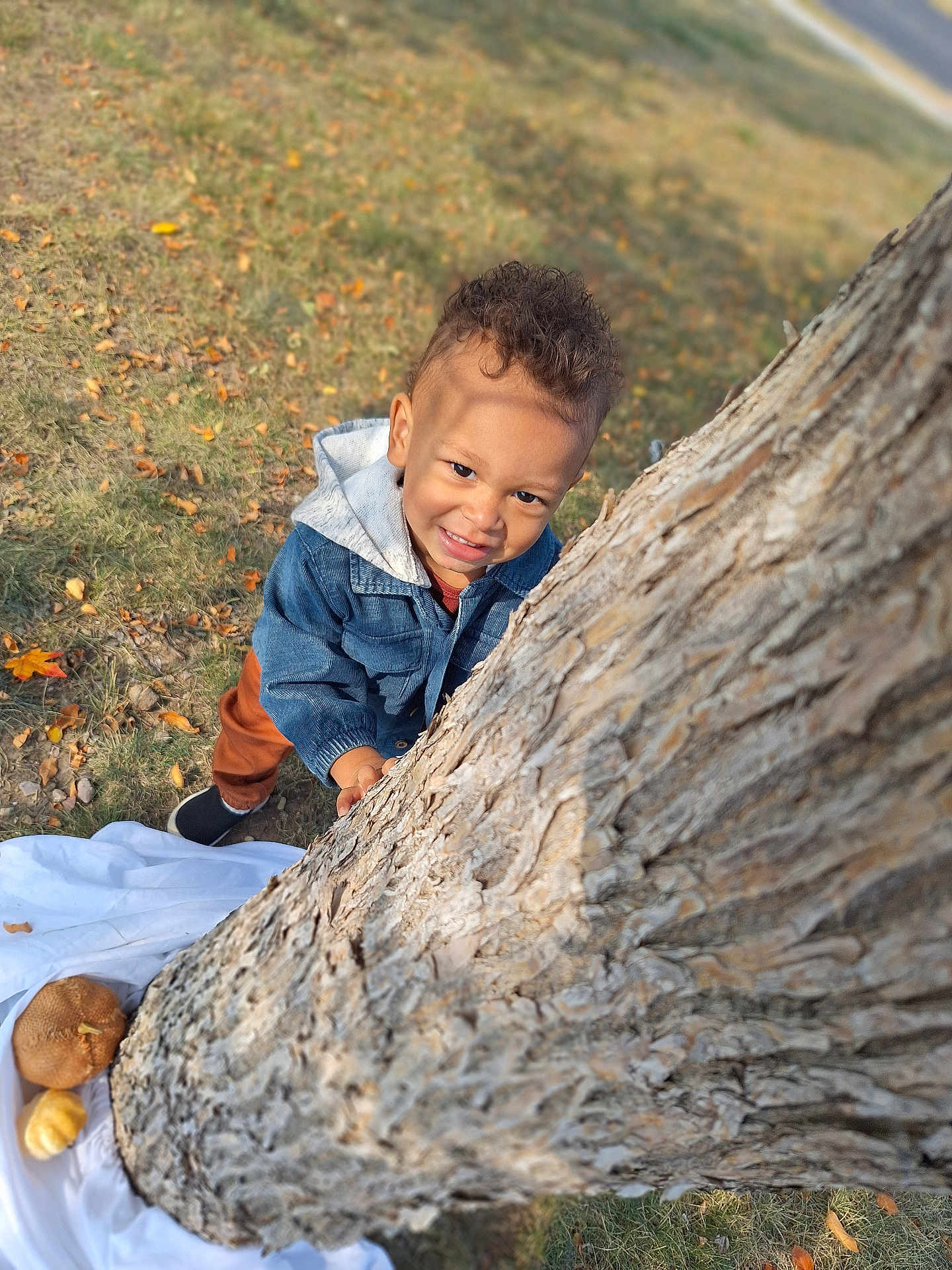 Adonis joined the competition — help win amazing prizes! baby, boy, child, clothing, coat, face, footwear, grass, head, hiding, jacket, male, pants, person, photography, plant, portrait, rock, shoe, tree