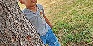 Adonis is registered to the contest to win money with this photo: boy, car, child, clothing, face, footwear, head, hiding, jeans, male, pants, person, photography, plant, portrait, shoe, transportation, tree, treetrunk, vehicle