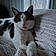Lucy