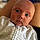 Freddie