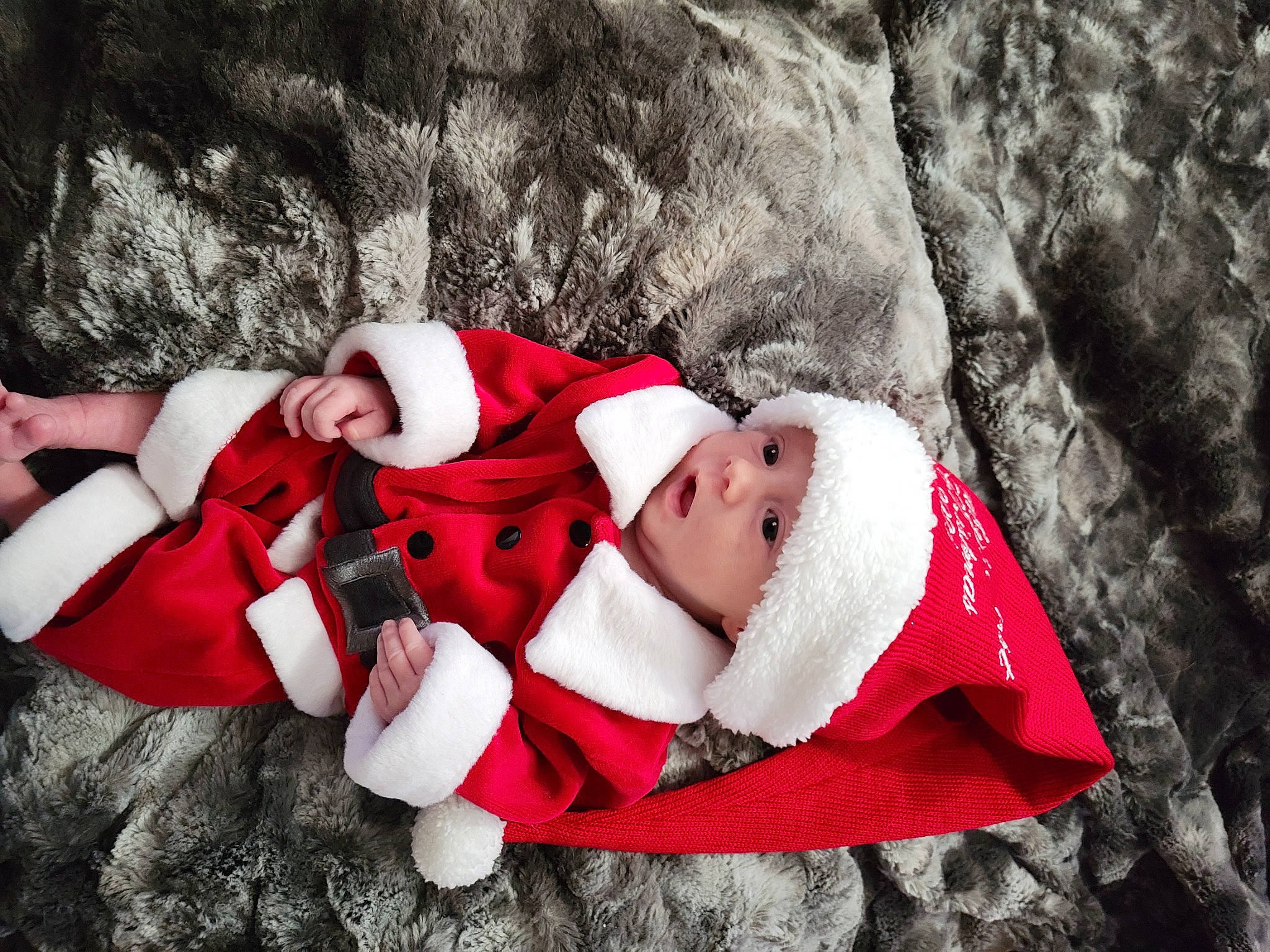 Alley joined the competition — help win amazing prizes! baby, baby_toddler_clothing, carmine, child, comfort, event, fictional_character, grass, happy, hat, headwear, holiday, human_body, human_leg, leg, person, santa_claus, sleeve, sock, thigh