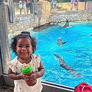 Nevaeh is registered to the contest to win money with this photo: animal, aquarium, blue_water, child, curly_hair, daylight, glass, happy, outdoor, person, playful, red_backpack, rock_wall, sea_lion, sippy_cup, smiling, toddler, visitor, water, zoo