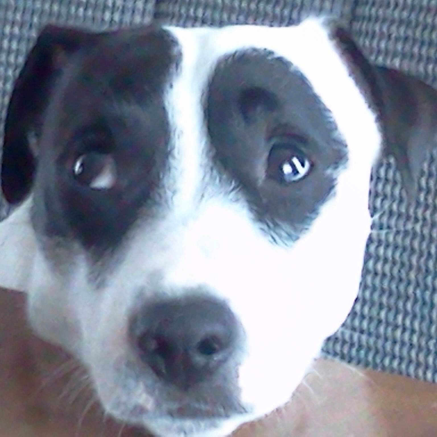 Clyde joined the competition — help win amazing prizes!