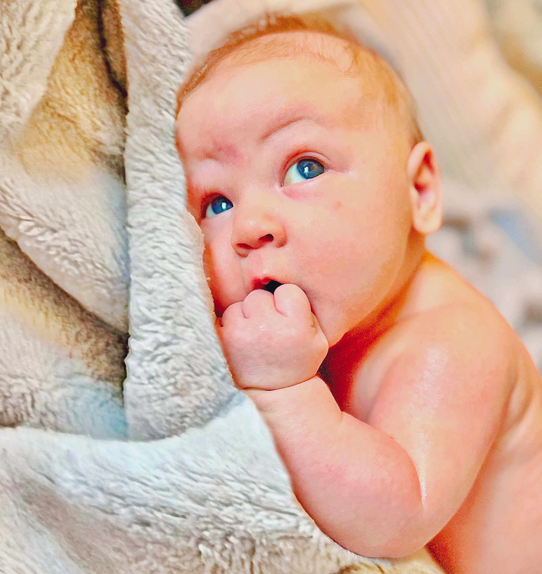 Jace is registered to the contest to win money with this photo: baby, infant, face, hand, blanket, skin, blue_eyes, cute, closeup, newborn, soft_texture, cozy, child, fingers, expression, portrait, warm, sleepy, resting, naked_shoulder