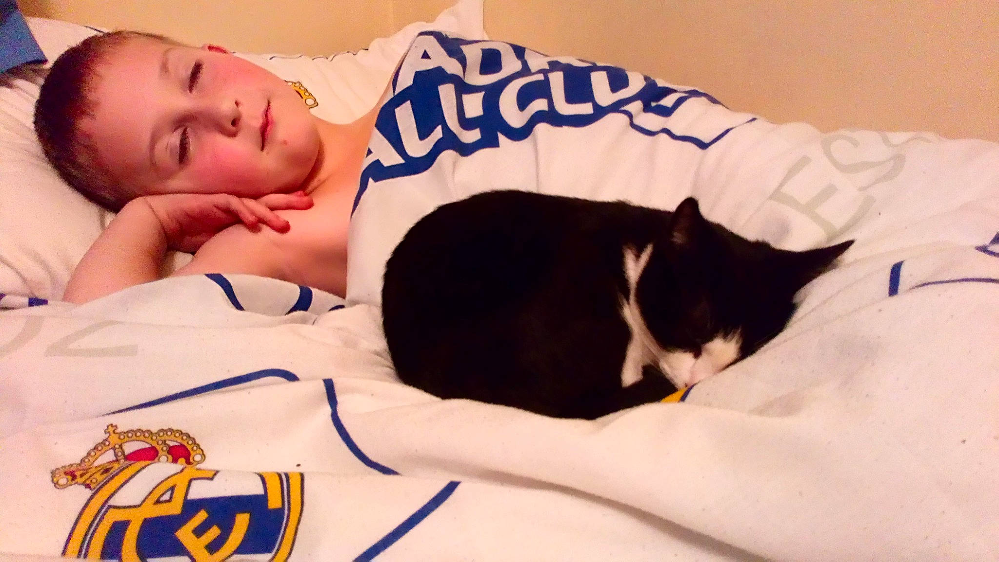 Nismo joined the competition — help win amazing prizes! arm, carnivoran, cat, cat_like_mammal, ear, finger, girl, kitten, mammal, nap, neck, person, product, sleep, small_to_medium_sized_cats, vertebrate