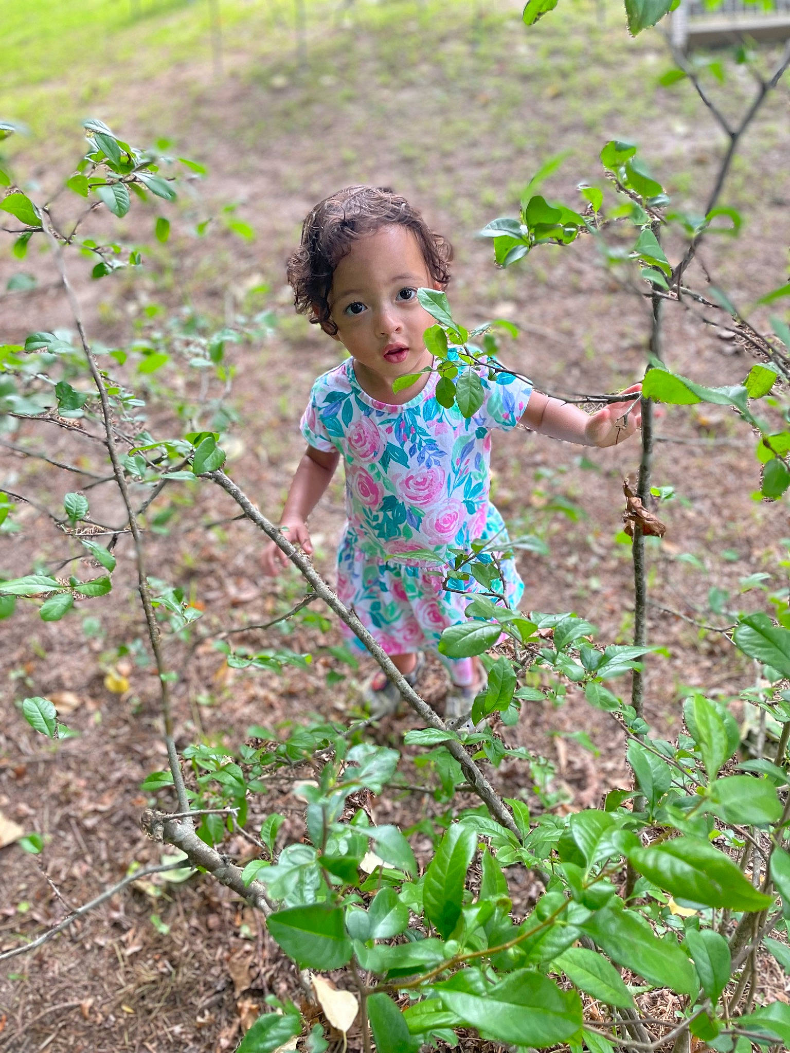 Rhema is registered to the contest to win money with this photo: baby_toddler_clothing, child, field, flowering_plant, grass, grass_family, groundcover, hair, happy, nature, people_in_nature, person, plant, plant_stem, shorts, soil, spring, t_shirt, terrestrial_plant, toddler
