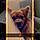 Tayson