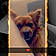 Tayson