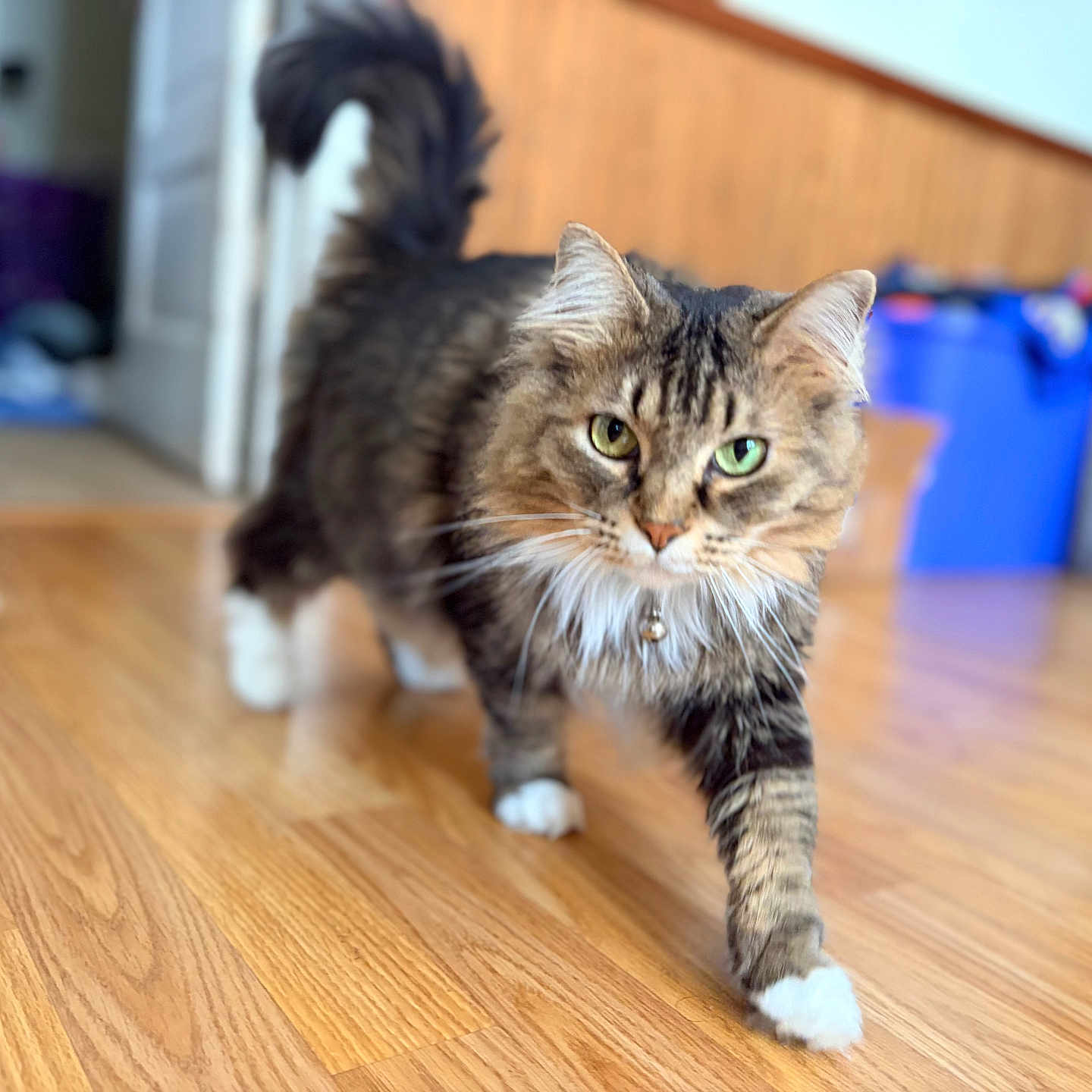 Fluffy