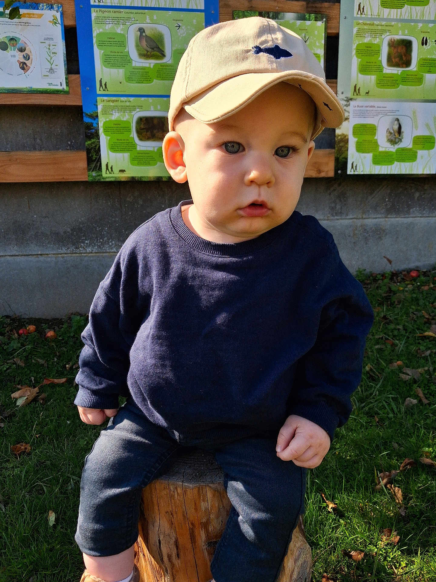 Timéo a rejoint le concours — aidez-le/la à gagner de superbes lots ! toddler, child, boy, cap, sweater, jeans, outdoor, grass, tree_stump, education, poster, animal_poster, nature, sunlight, face, portrait, casual_clothing, serious_expression, daylight, curious