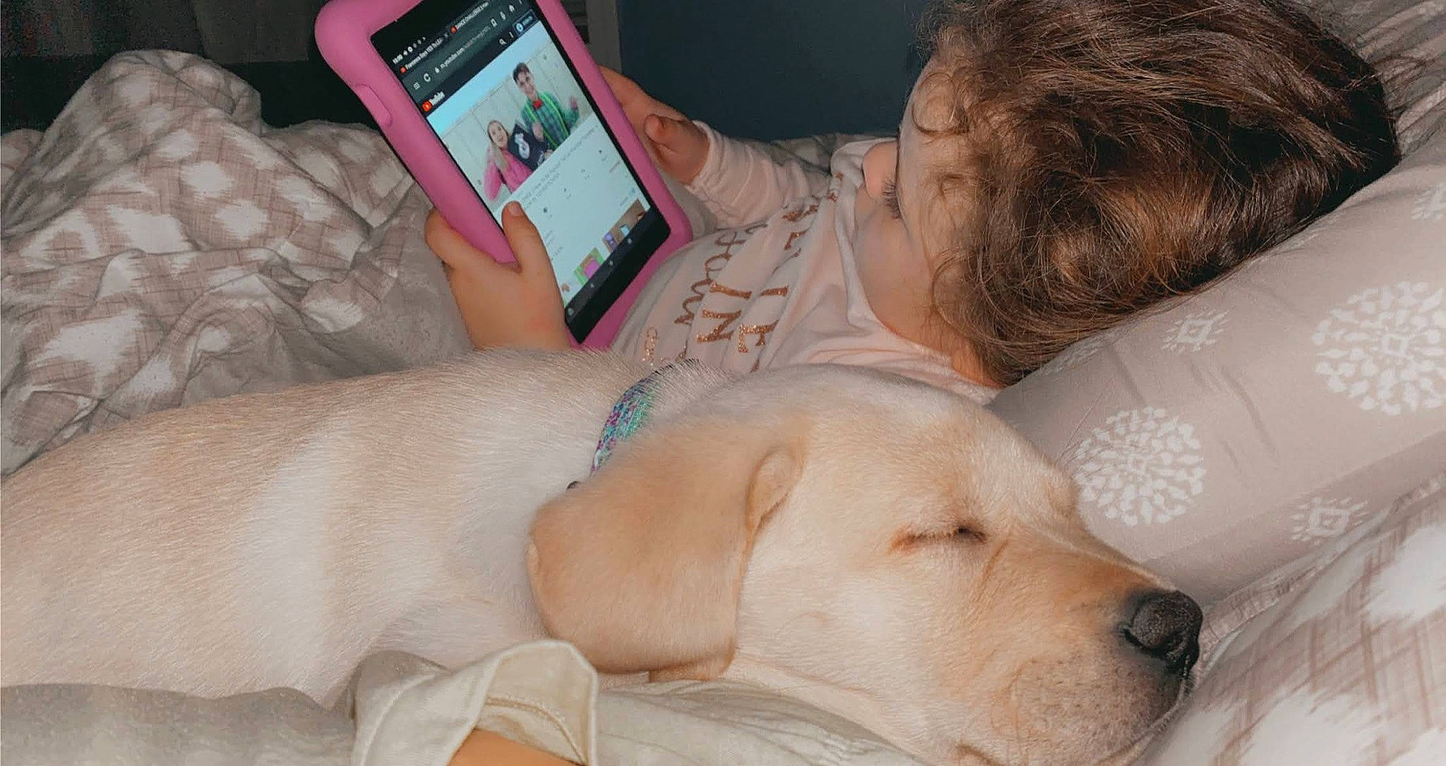 Nova is registered to the contest to win money with this photo: abdomen, carnivore, comfort, communication_device, companion_dog, dog, dog_breed, fawn, fur, gadget, gesture, linens, mobile_device, mobile_phone, nail, paw, portable_communications_device, telephony, whiskers, wrist