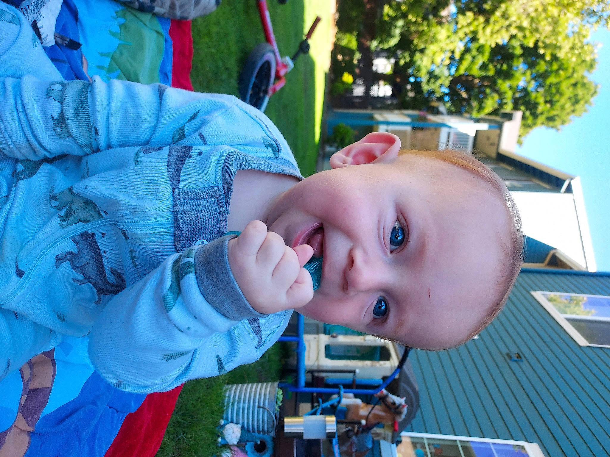 Kannon is registered to the contest to win money with this photo: baby, baby_products, baby_toddler_clothing, blue, child, city, electric_blue, fun, grass, happy, house, leisure, outdoor_play_equipment, person, play, recreation, smile, toddler, tree, vacation
