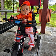 Brittany is registered to the contest to win money with this photo: toddler, child, tricycle, orange_clothing, headband, flower, outdoor, park, playground, pavilion, bench, trees, grass, concrete, barefoot, toy, person, seat, handlebars, daylight