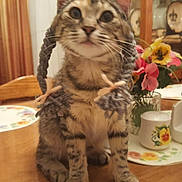 Penny is registered to the contest to win money with this photo: architecture, art, building, diningroom, diningtable, flower, flowerarrangement, food, furniture, indoors, jar, livingroom, plant, porcelain, pottedplant, pottery, room, table, vase, wood