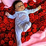 adorable, baby, child, clothing, cute, expression, face, flower_bed, indoor, infant, lying_down, newborn, onesie, pink_blanket, portrait, red_roses, roses, soft_texture, text, whale