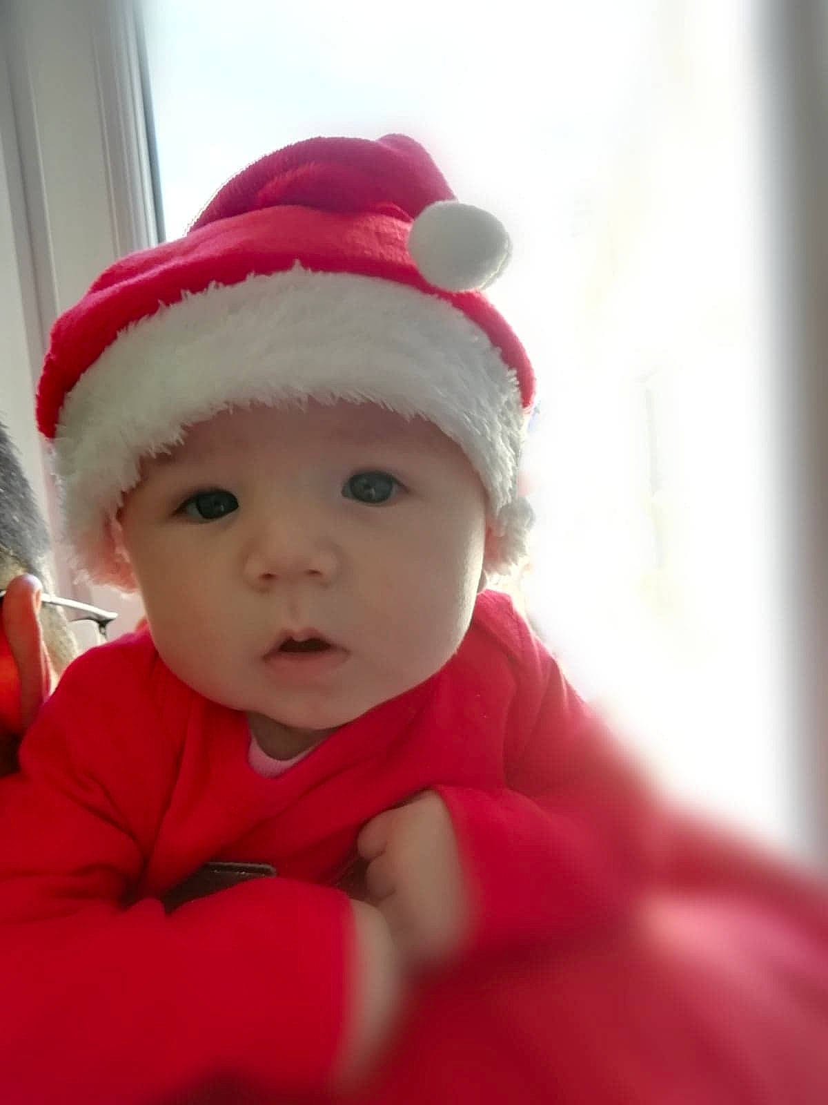 Sophia a rejoint le concours — aidez-le/la à gagner de superbes lots ! baby, baby_toddler_clothing, cap, christmas, comfort, costume_hat, event, eye, fun, fur, happy, hat, headwear, holiday, human_body, lip, mammal, person, sitting, sleeve