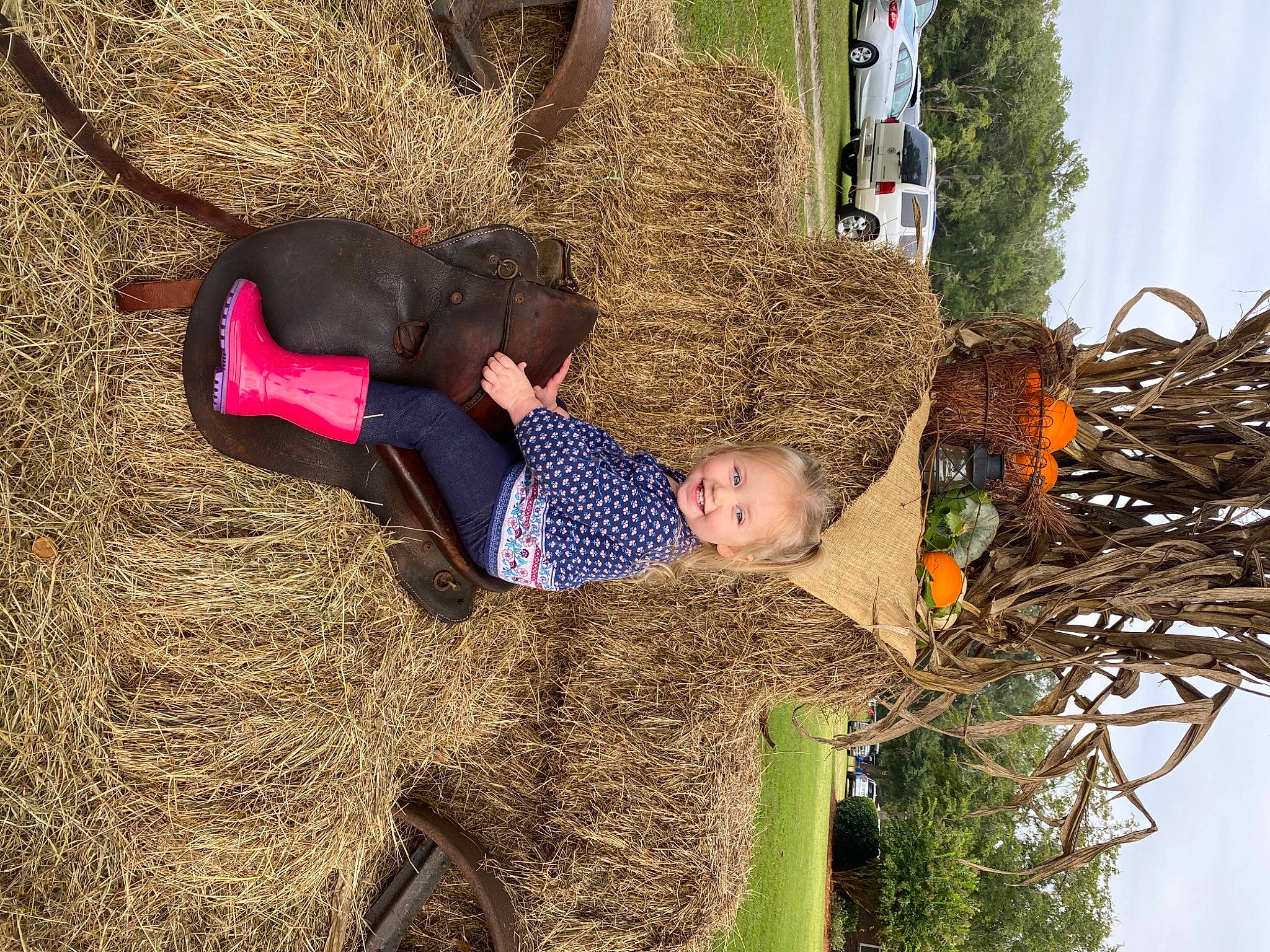 Everleigh joined the competition — help win amazing prizes! hay, joy, person, straw
