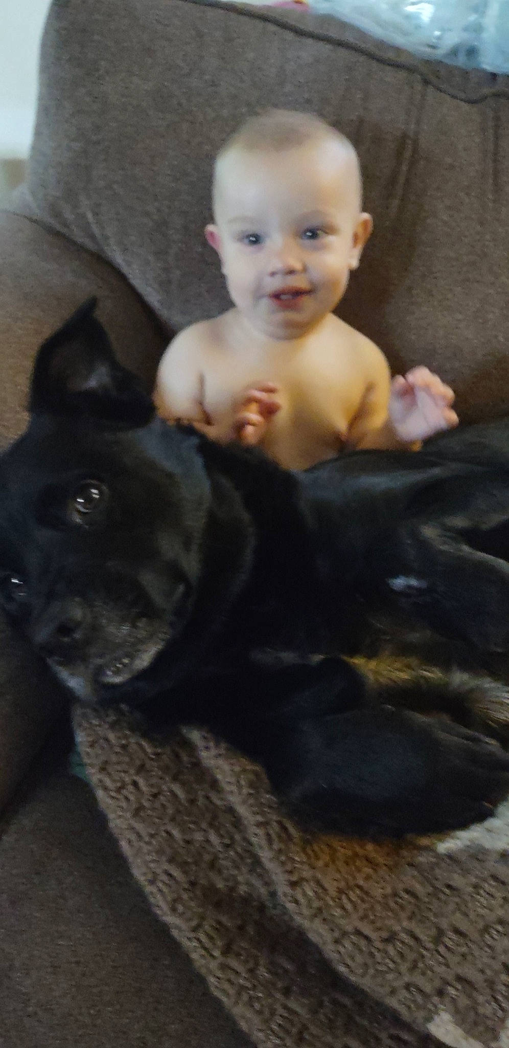 Marshall joined the competition — help win amazing prizes! baby, baby_toddler_clothing, carnivore, chest, child, comfort, companion_dog, dog, dog_breed, ear, eye, flash_photography, fur, happy, leg, nose, person, sitting, skin, toddler