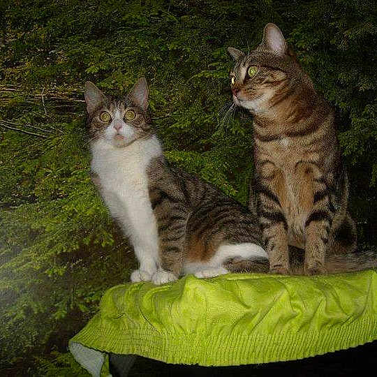 Cerise Et Cathoune