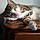 Viggo