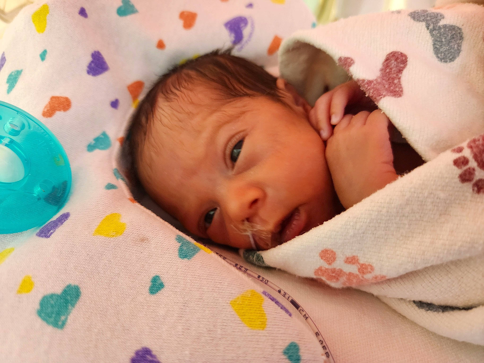 Daisy Rae Barber joined the competition — help win amazing prizes! baby, baby_toddler_clothing, cheek, child, comfort, eye, eyebrow, eyelash, face, facial_expression, happy, head, iris, linens, lip, nose, person, product, skin, textile