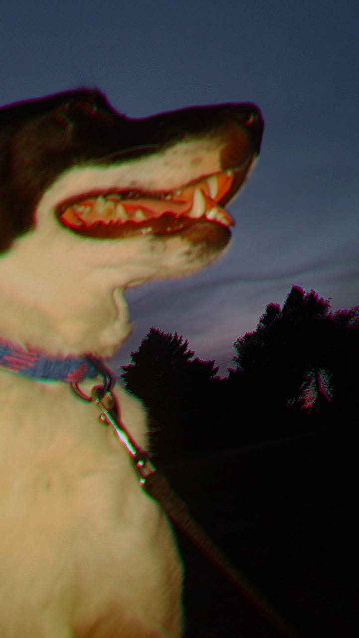 Jazzy is registered to the contest to win money with this photo: fictional_character, flesh, glasses, head, jaw, lip, mouth, organ, smile