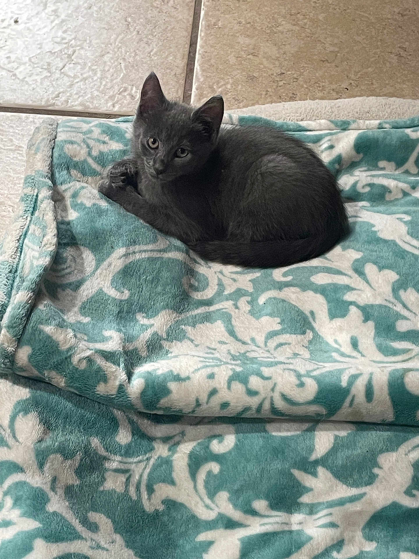 Onyx