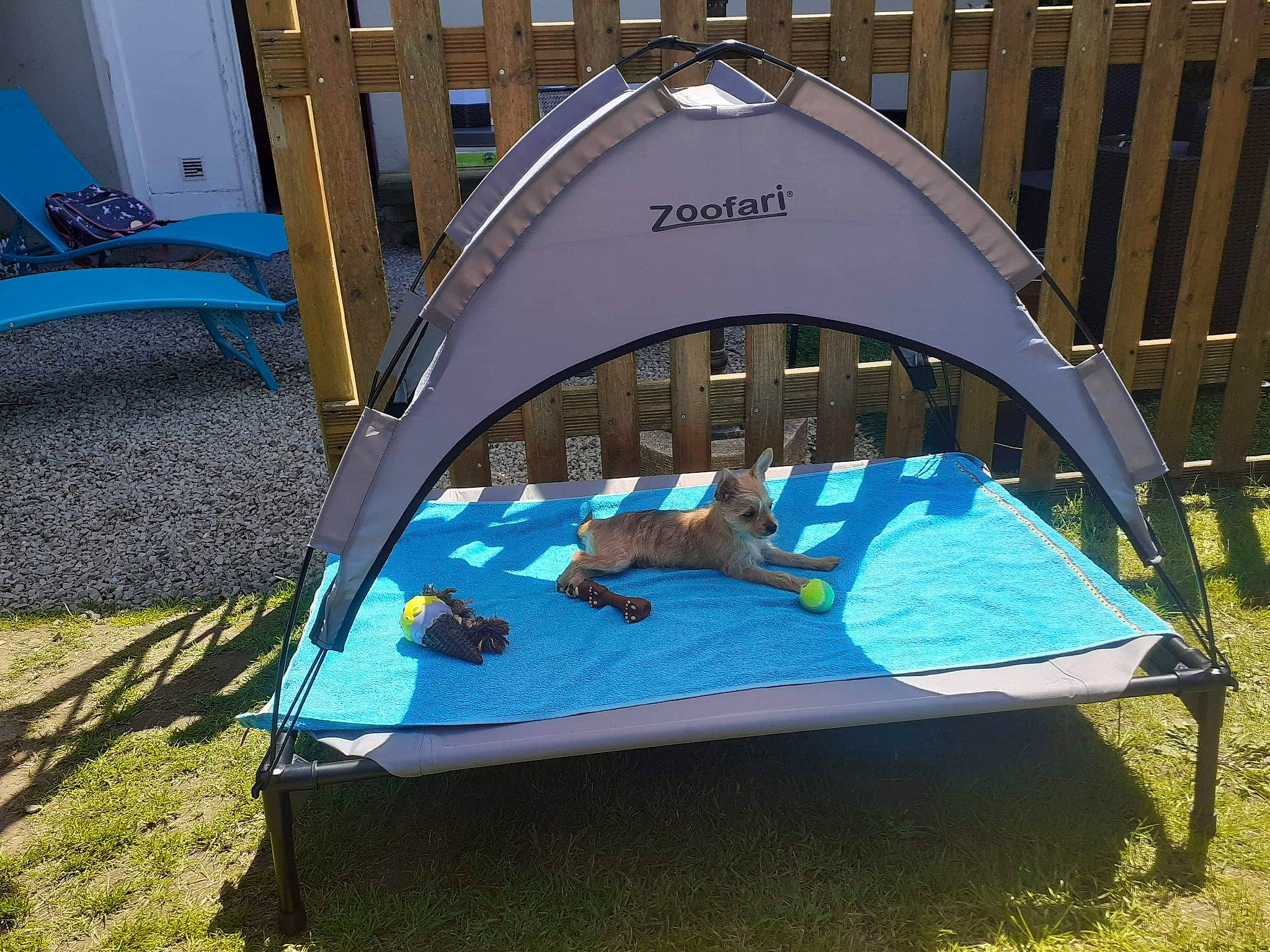 Youki a rejoint le concours — aidez-le/la à gagner de superbes lots ! architecture, baby_toys, camping, leisure, product, tent