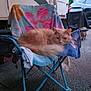animal, asphalt, background, car, cat, daylight, feline, folding_chair, fur, nature, orange_cat, outdoor, pet, relaxing, resting, tail, towel, trailer, two_cats, vehicle