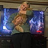 Thor joined the competition — help win amazing prizes! woman, cat, indoor, television, hugging, smiling, blonde_hair, casual_clothing, orange_cat, living_room, furniture, screen, netflix, entertainment, happy, pet, cozy, home, human, technology