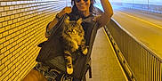 Urssaf a rejoint le concours — aidez-le/la à gagner de superbes lots ! woman, cat, backpack, tunnel, sunglasses, brick_wall, street, sidewalk, railings, lighting, smile, playful_pose, shorts, urban, animal, pet, walking, road, daylight, fun