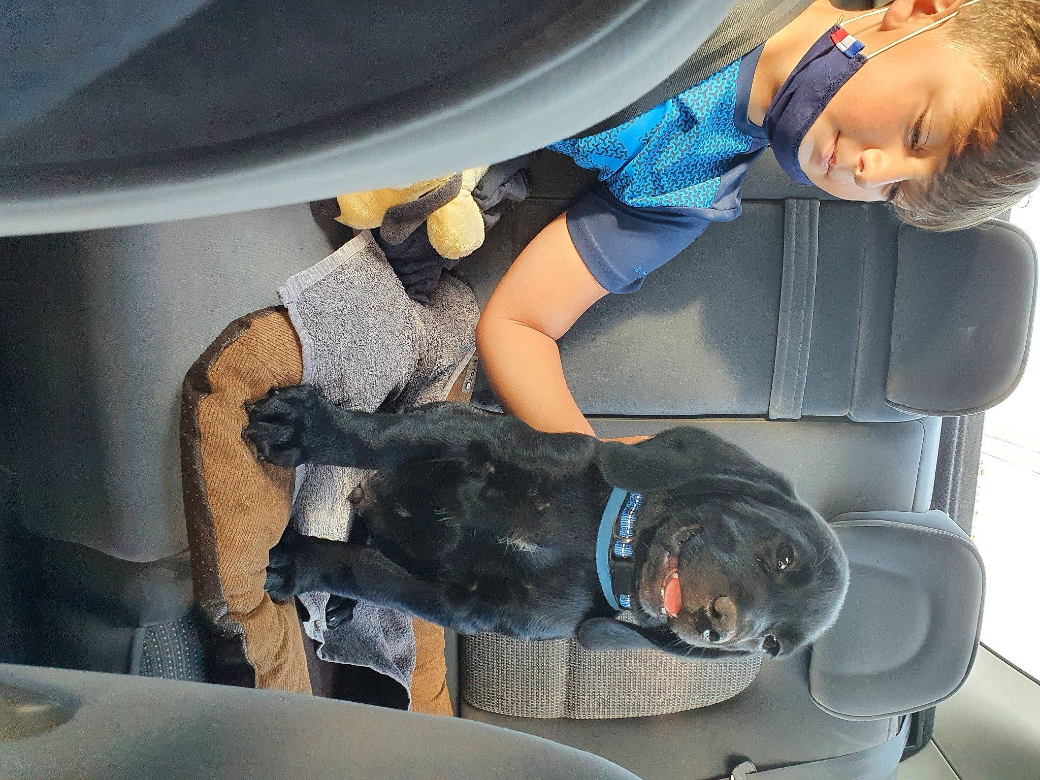 Spike participe au concours pour gagner de l'argent avec cette photo : auto_part, automotive_design, automotive_exterior, automotive_tire, automotive_wheel_system, car_seat, comfort, electric_blue, eyewear, hat, human_leg, motor_vehicle, personal_protective_equipment, snapshot, sunglasses, table, thigh, toy, vehicle_door, window