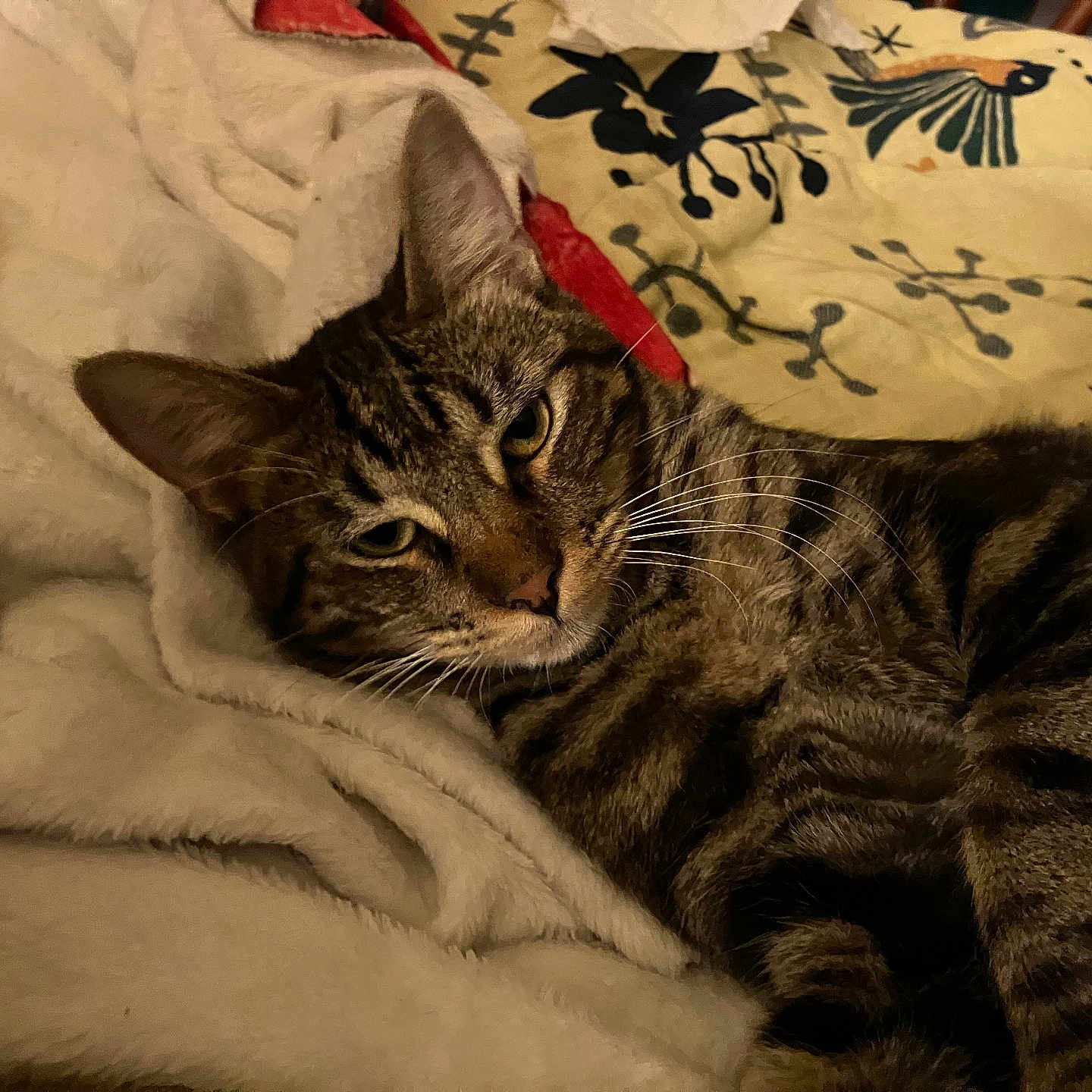 Charlie