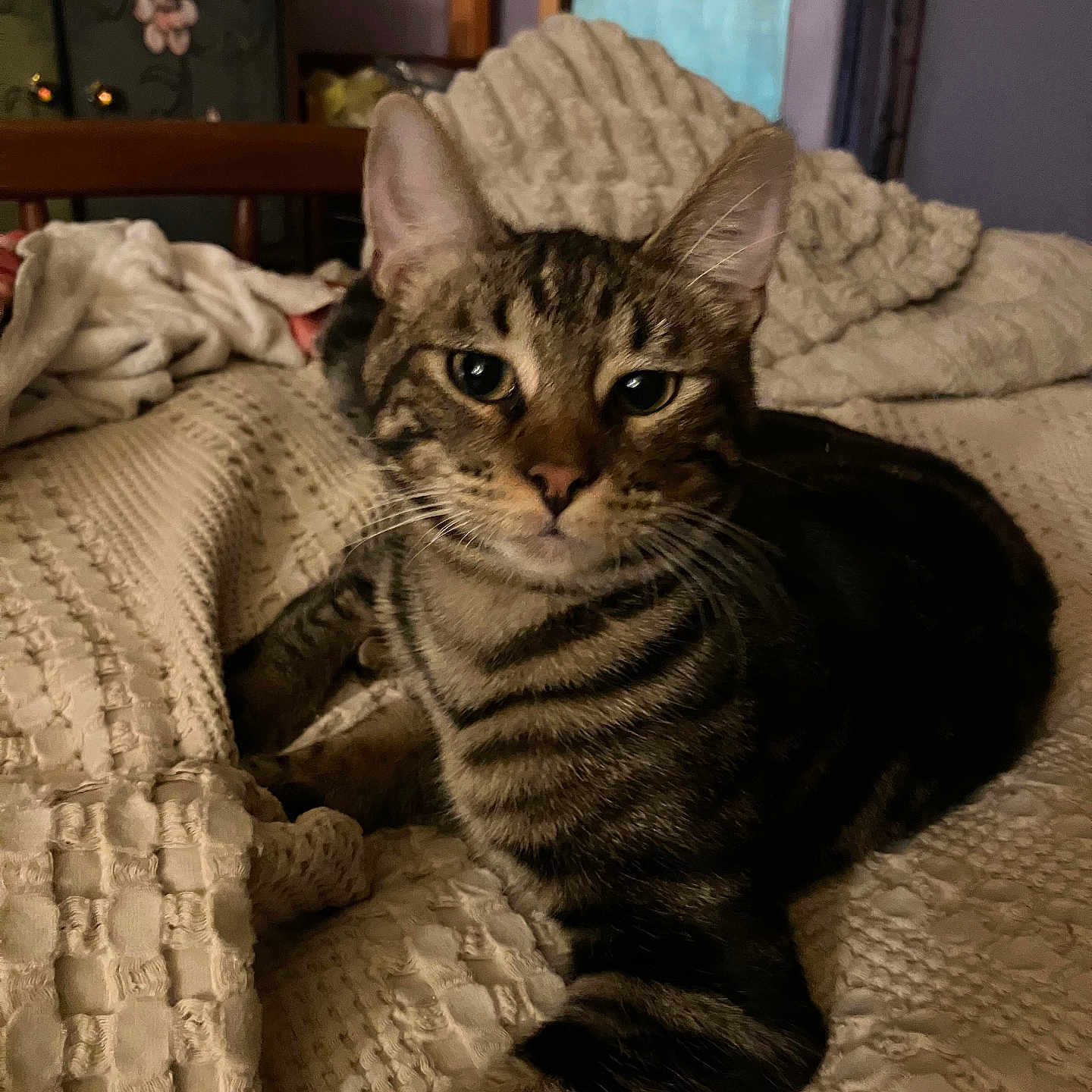 Charlie