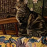 animal, basket, blanket, cabinet, cat, chair, decor, face, feline, floral, furniture, indoor, looking, pattern, pet, sitting, striped, tabby, whiskers, wood