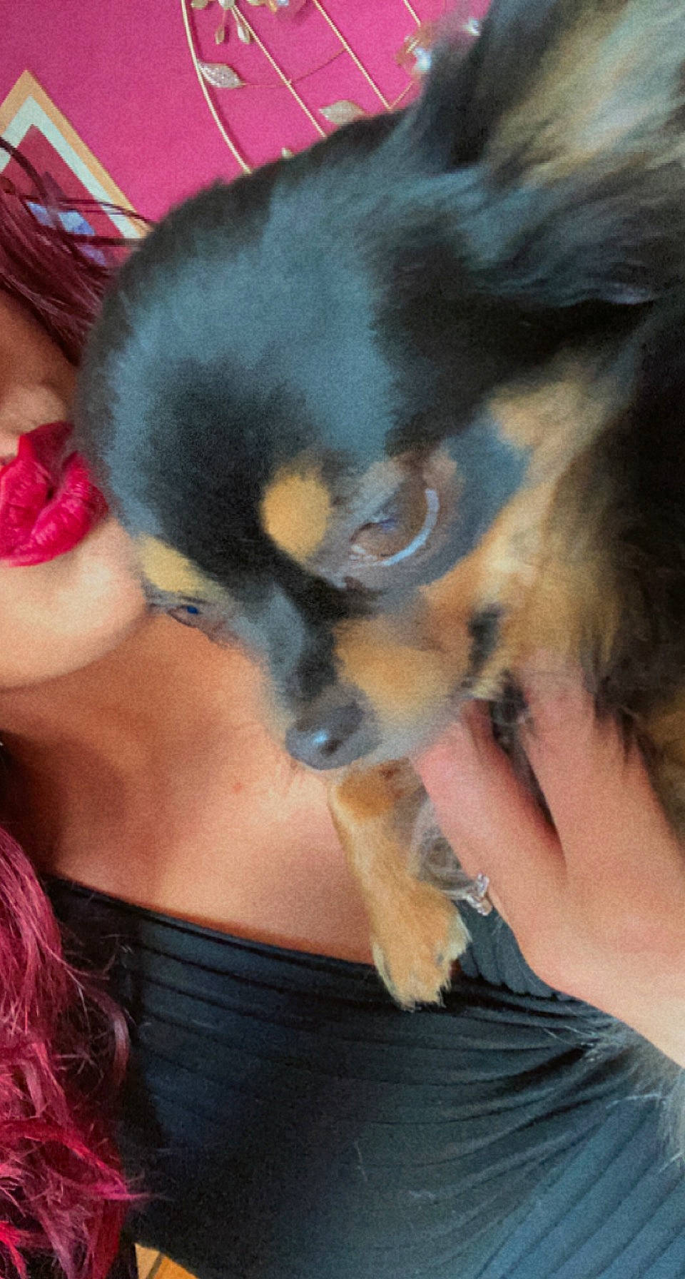 Lady a rejoint le concours — aidez-le/la à gagner de superbes lots ! canidae, carnivore, companion_dog, dog, dog_breed, ear, eyelash, fawn, fur, gesture, guard_dog, happy, human_leg, mammal, nail, snout, sporting_group, thigh, toy_dog, working_dog