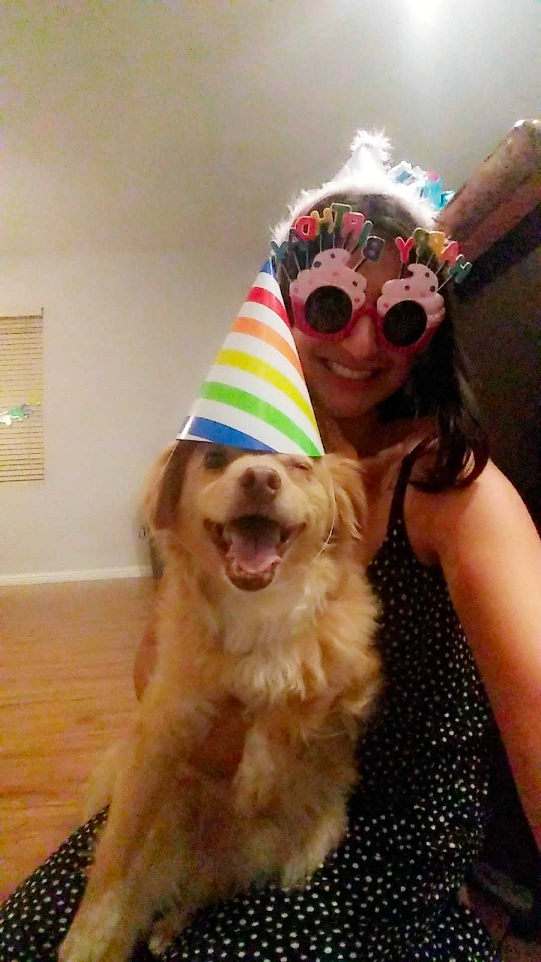 Mikey joined the competition — help win amazing prizes! blond, carnivore, clothing, companion_dog, cool, dog, dog_breed, eyewear, fawn, fun, glasses, goggles, happy, party_hat, selfie, smile, snout, sporting_group, sunglasses, vision_care