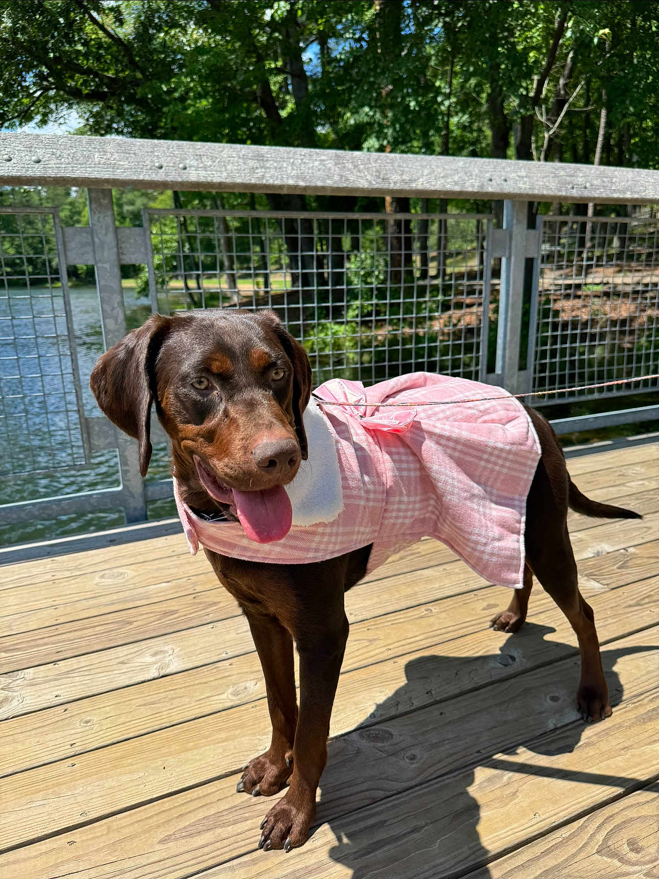Kinlee Sue