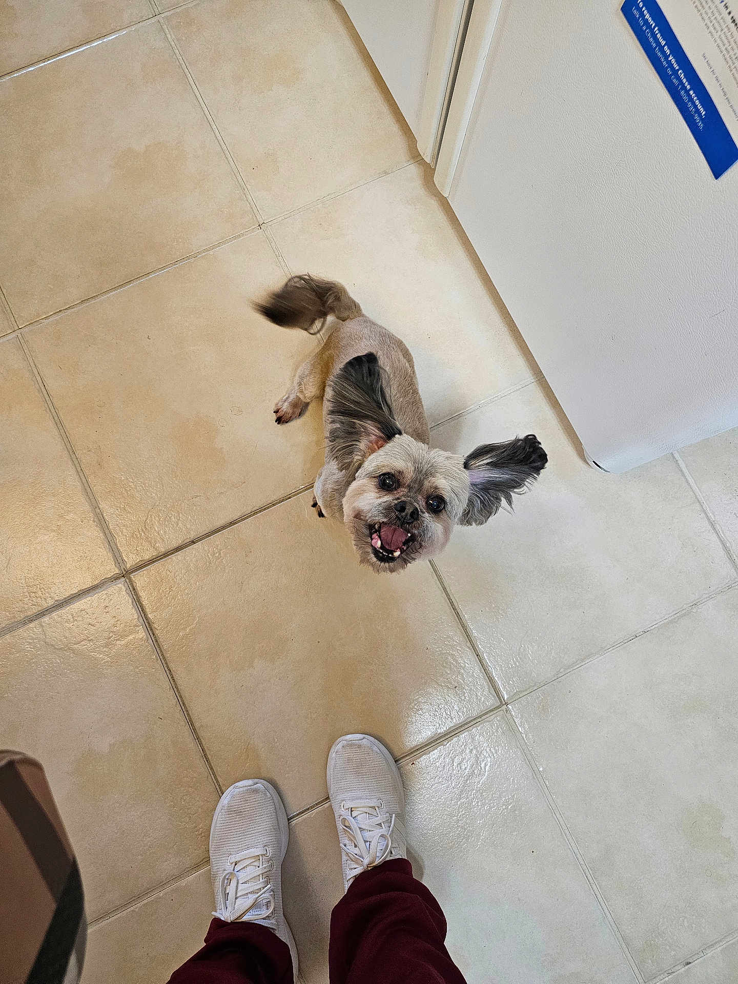 Toby