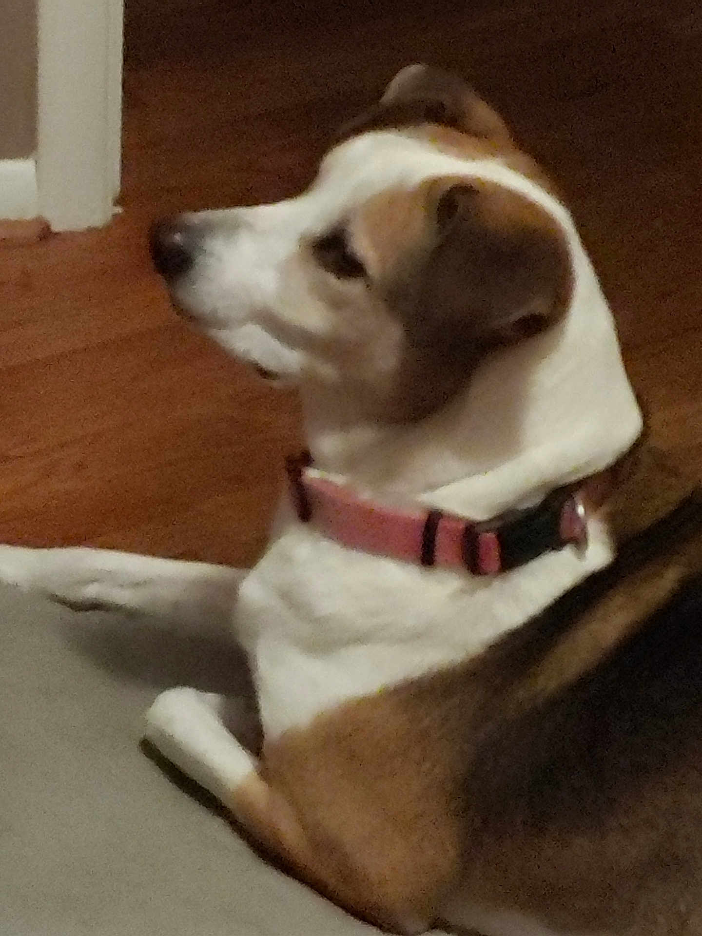 Sally