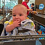 Milo joined the competition — help win amazing prizes! baby, blanket, shopping_cart, child, indoor, store, supermarket, checkout, person, girl, employee, window, sign, food, bread, clothing, face, hand, fingers, curious