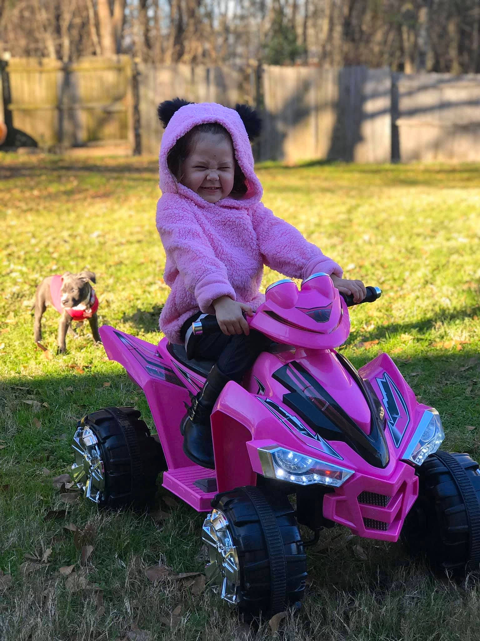 Kenlee is registered to the contest to win money with this photo: all_terrain_vehicle, child, grass, person, pink, plant, riding_toy, toddler, vehicle