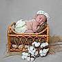 baby, sleeping, flower_crown, lace, wicker_bed, pillow, cotton_branch, soft_fabric, newborn, innocence, rest, peaceful, portrait, studio, neutral_background, cute, child, infant, cozy, sleep