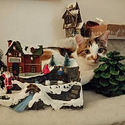 Ney participe au concours pour gagner de l'argent avec cette photo : cat, calico_cat, kitten, christmas, holiday_decor, miniature_village, ornament, pine_tree, santa_figurine, snow, tabletop, indoor, decorations, whiskers, wide_eyes, cozy, festive, house_model, figurine, seasonal