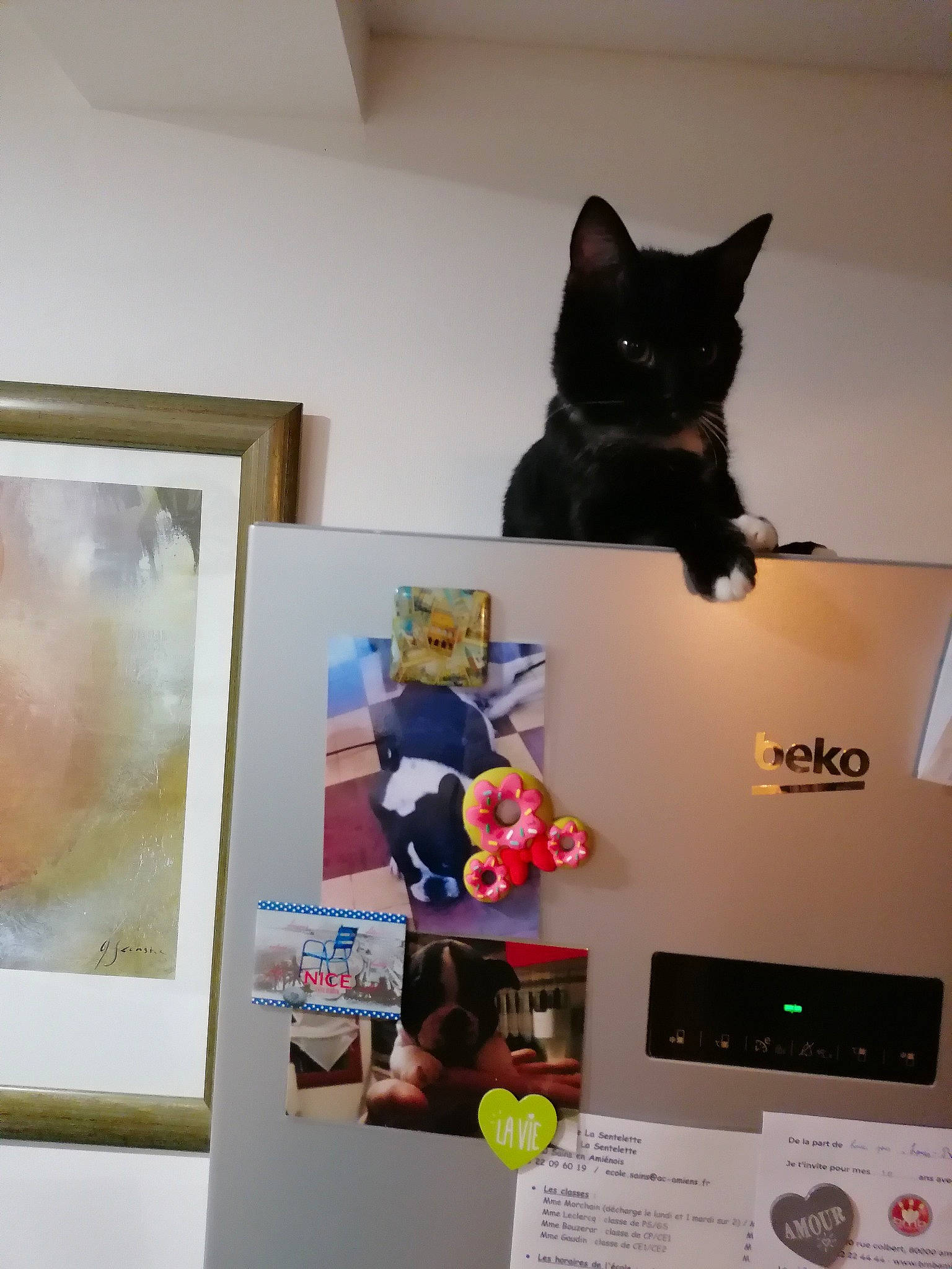 Simone Dit Sissi a rejoint le concours — aidez-le/la à gagner de superbes lots ! art, black_cat, carnivore, cat, domestic_short_haired_cat, event, felidae, flooring, fur, graphic_design, machine, paper_product, room, small_to_medium_sized_cats, tail, visual_arts, whiskers, white