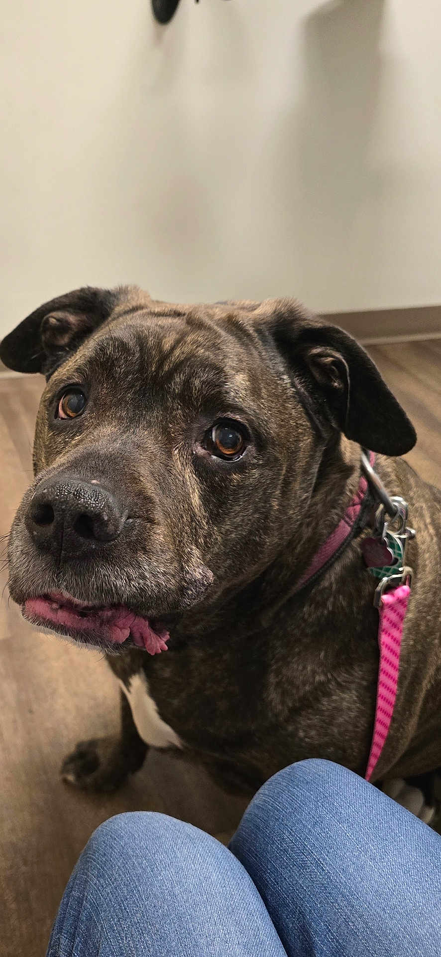Sadie
