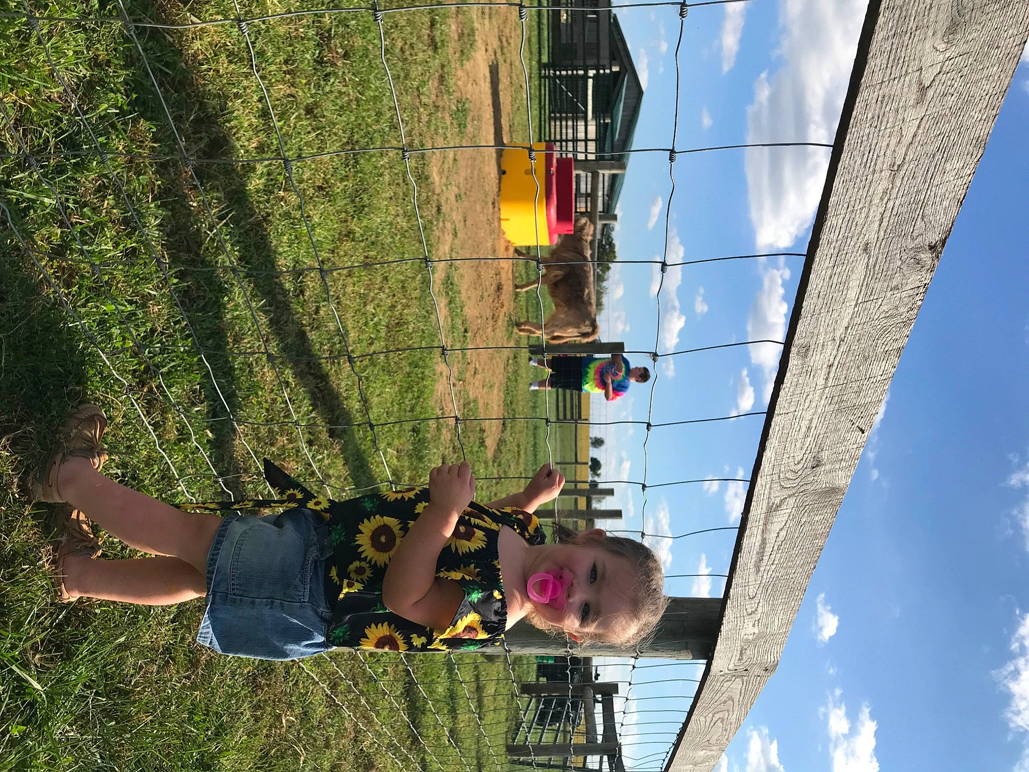 Remmi joined the competition — help win amazing prizes! adventure, cloud, electrical_supply, electricity, fun, grass, happy, leisure, line, net, people_in_nature, person, plant, public_utility, recreation, sky, smile, tree, wire