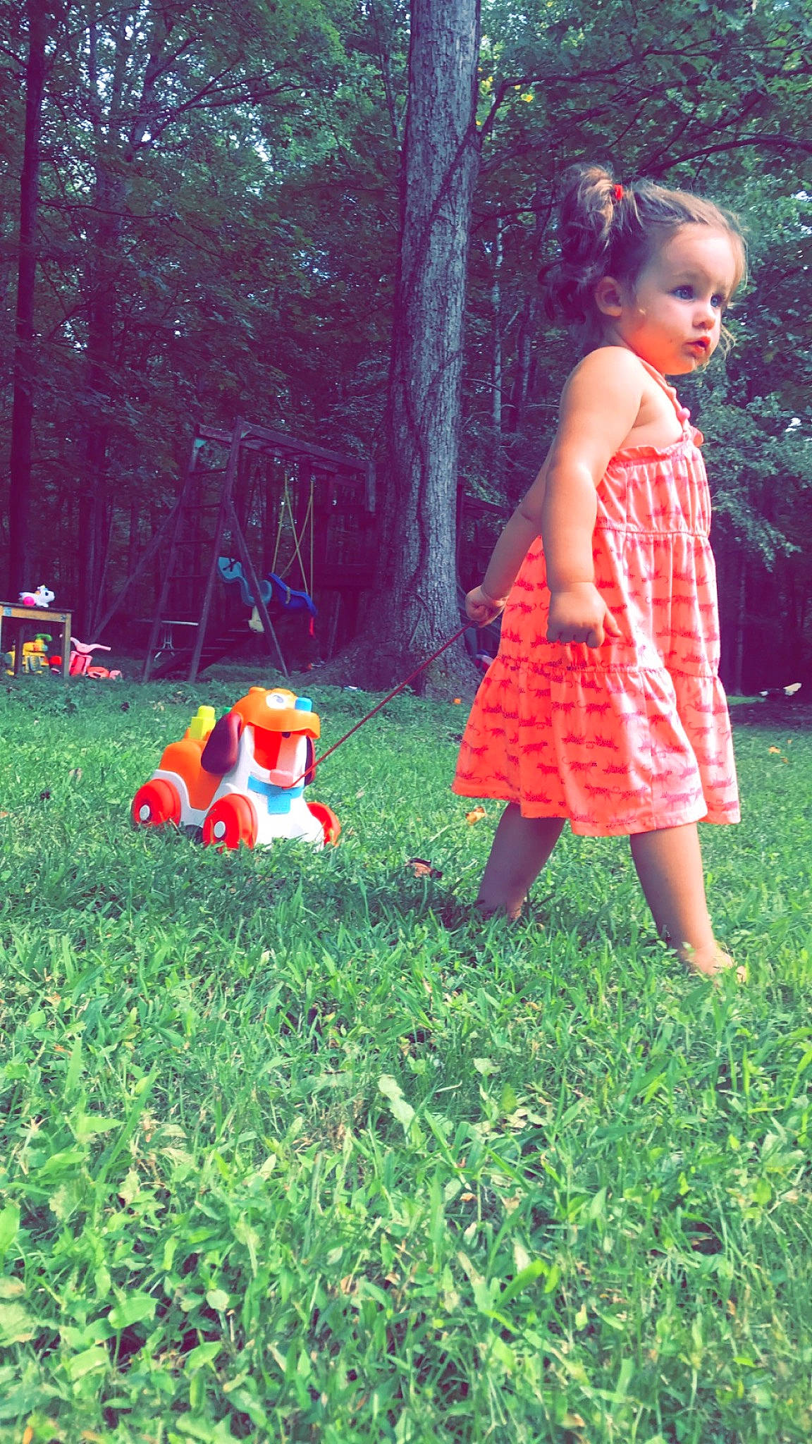 Remmi joined the competition — help win amazing prizes! day_dress, fawn, forest, fun, garden, grass, grass_family, grassland, happy, lawn_ornament, leisure, one_piece_garment, pattern, people_in_nature, person, plant, play, recreation, shrub, toddler