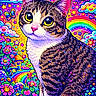 cat, illustration, psychedelic, colorful, rainbow, stars, hearts, butterflies, flowers, smiling_faces, fantasy, whimsical, cute, animal, pattern, bright_colors, art, cartoon, fantastical, happy