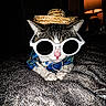 animal, blanket, cat, closeup, costume, cozy, cute, fashion, feline, hat, indoor, lamp, paws, pet, pink_nose, portrait, relaxed, sunglasses, toy, whiskers